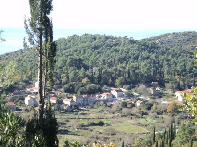 Country House Konavle Gruda Exterior photo